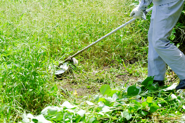 草刈り